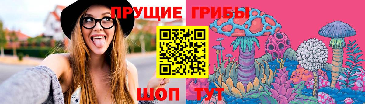 Псилоцибиновые грибы Cubensis Евпатория